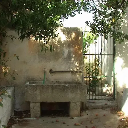 Nel Salento - Ampie E Giardino, Fino A 9 Persone Barbarano del Capo