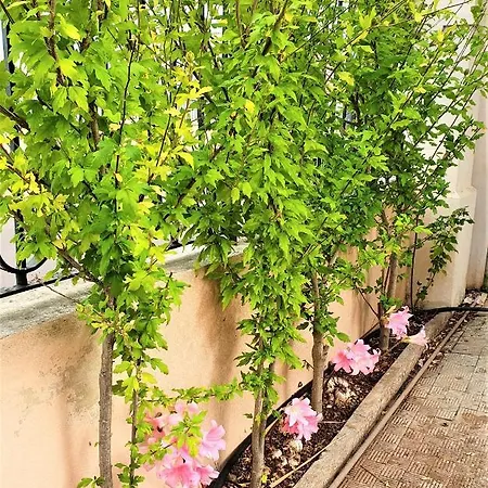 Nel Salento - Ampie E Giardino, Fino A 9 Persone Villa *