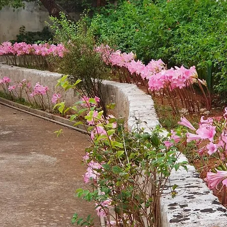 Nel Salento - Ampie E Giardino, Fino A 9 Persone *