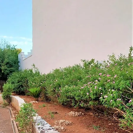 Nel Salento - Ampie E Giardino, Fino A 9 Persone Villa Barbarano del Capo